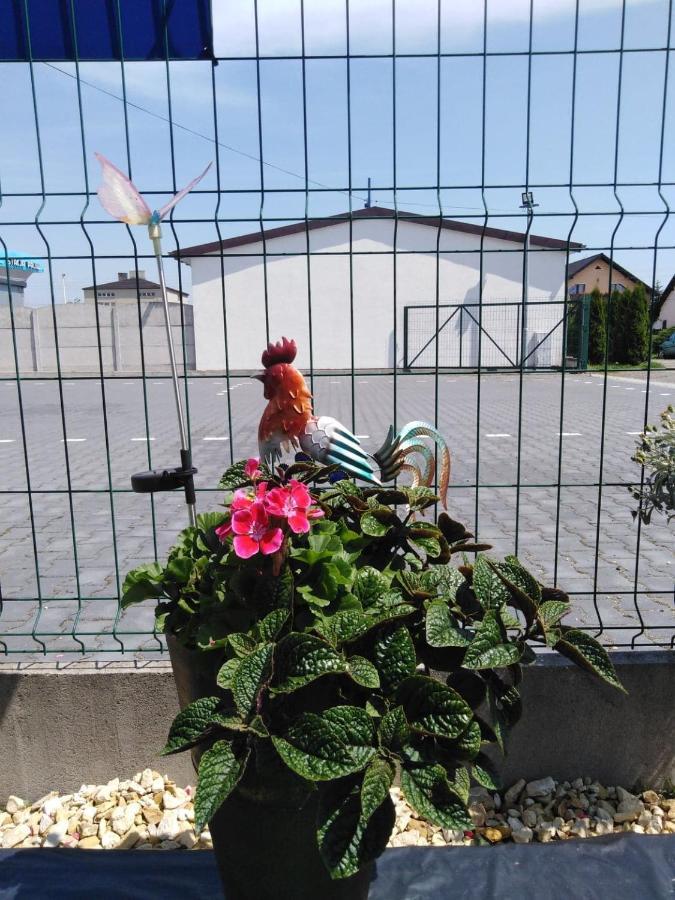 Pod Kogucikiem Aparthotel Krzyzanowice Екстериор снимка