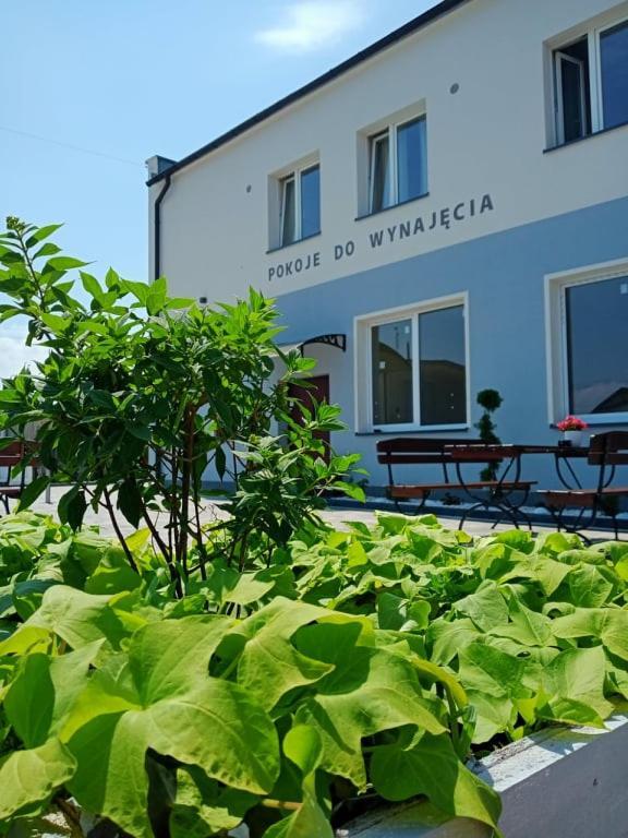 Pod Kogucikiem Aparthotel Krzyzanowice Екстериор снимка